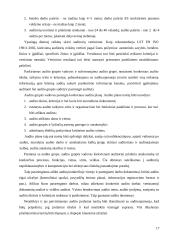 ES struktūrinės paramos vidaus auditas dabar 17 puslapis