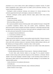 ES struktūrinės paramos vidaus auditas dabar 19 puslapis