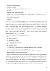 ES struktūrinės paramos vidaus auditas dabar 20 puslapis