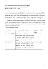 ES struktūrinės paramos vidaus auditas dabar 4 puslapis