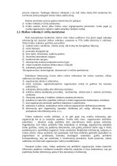 Rizikos įvertinimas, vidaus audito poreikio apskaičiavimas 2 puslapis