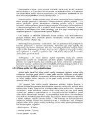 Rizikos įvertinimas, vidaus audito poreikio apskaičiavimas 5 puslapis