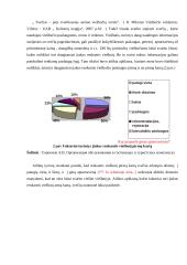 „Algirdas city hotels“  viešbučio veiklos analizė 11 puslapis