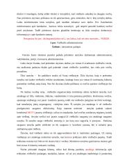 „Algirdas city hotels“  viešbučio veiklos analizė 13 puslapis