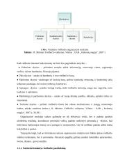 „Algirdas city hotels“  viešbučio veiklos analizė 10 puslapis