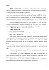 Viešųjų sutarčių sudarymo ypatumai. Kursinis darbas 2 puslapis