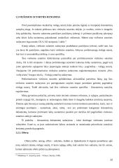 Viešųjų sutarčių sudarymo ypatumai. Kursinis darbas 12 puslapis