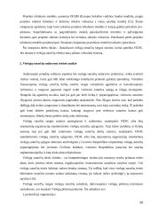 Viešųjų sutarčių sudarymo ypatumai. Kursinis darbas 20 puslapis