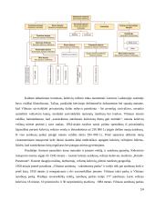 UAB "Vilniaus autobusai" veiklos gerinimo galimybės  14 puslapis