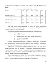 UAB "Vilniaus autobusai" veiklos gerinimo galimybės  20 puslapis