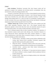 UAB "Vilniaus autobusai" veiklos gerinimo galimybės  4 puslapis