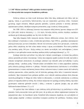 UAB "Vilniaus autobusai" veiklos gerinimo galimybės  6 puslapis