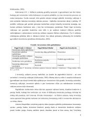 Vilniaus ir Varšuvos vertybinių popierių biržų lyginamoji analizė 8 puslapis