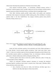 Vilniaus ir Varšuvos vertybinių popierių biržų lyginamoji analizė 10 puslapis