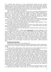 Vilniaus senamiesčio ekskursija. Teksto projektas 2 puslapis