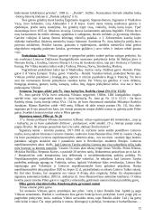 Vilniaus senamiesčio ekskursija. Teksto projektas 12 puslapis