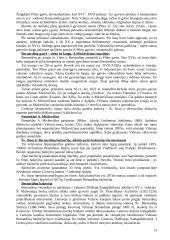 Vilniaus senamiesčio ekskursija. Teksto projektas 13 puslapis