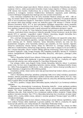 Vilniaus senamiesčio ekskursija. Teksto projektas 15 puslapis