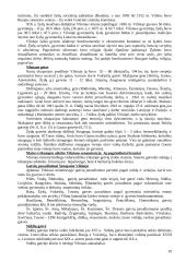 Vilniaus senamiesčio ekskursija. Teksto projektas 19 puslapis