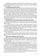 Vilniaus senamiesčio ekskursija. Teksto projektas 20 puslapis