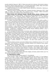 Vilniaus senamiesčio ekskursija. Teksto projektas 7 puslapis