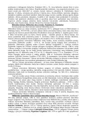 Vilniaus senamiesčio ekskursija. Teksto projektas 8 puslapis