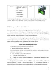 UAB “Remontukas” lengvųjų automobilių techninės priežiūros rekonstrukcijos projektavimas 11 puslapis