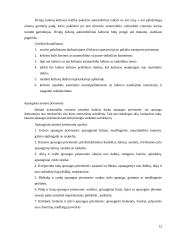 UAB “Remontukas” lengvųjų automobilių techninės priežiūros rekonstrukcijos projektavimas 12 puslapis