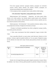 UAB “Remontukas” lengvųjų automobilių techninės priežiūros rekonstrukcijos projektavimas 13 puslapis