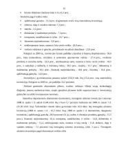 Vyraujantys investavimo į Lietuvos ūkį būdai 14 puslapis