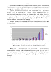Vyraujantys investavimo į Lietuvos ūkį būdai 18 puslapis