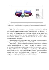 Vyraujantys investavimo į Lietuvos ūkį būdai 19 puslapis