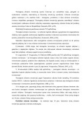 Vyraujantys investavimo į Lietuvos ūkį būdai 4 puslapis