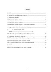 VĮ „Panevėžio regiono keliai“ veiklos valdymo modelis. Referatas 2 puslapis