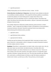 VĮ „Panevėžio regiono keliai“ veiklos valdymo modelis. Referatas 11 puslapis