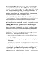 VĮ „Panevėžio regiono keliai“ veiklos valdymo modelis. Referatas 13 puslapis