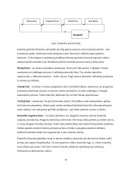 VĮ „Panevėžio regiono keliai“ veiklos valdymo modelis. Referatas 16 puslapis