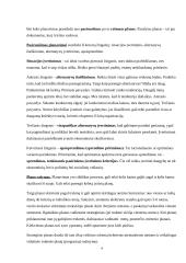 VĮ „Panevėžio regiono keliai“ veiklos valdymo modelis. Referatas 9 puslapis