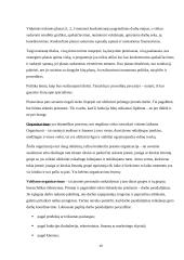 VĮ „Panevėžio regiono keliai“ veiklos valdymo modelis. Referatas 10 puslapis