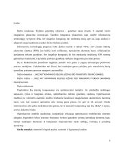 WIZZ AIR kompanijos keleivių vežimo oro transporto tiekimo grandies organizavimas 2 puslapis