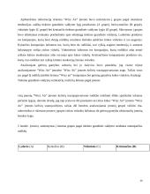 WIZZ AIR kompanijos keleivių vežimo oro transporto tiekimo grandies organizavimas 14 puslapis