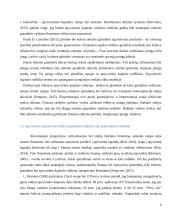 WIZZ AIR kompanijos keleivių vežimo oro transporto tiekimo grandies organizavimas 6 puslapis