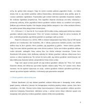 WIZZ AIR kompanijos keleivių vežimo oro transporto tiekimo grandies organizavimas 8 puslapis