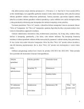 WIZZ AIR kompanijos keleivių vežimo oro transporto tiekimo grandies organizavimas 9 puslapis