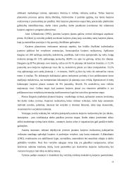 "X" įmonės darbuotojų karjeros realizavimo galimybės  19 puslapis