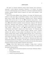 Žinių valdymo tobulinimas įmonėje UAB Logistics 3 puslapis