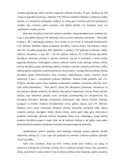 Organizacijų pozicija personalo atrankos procese 16 puslapis