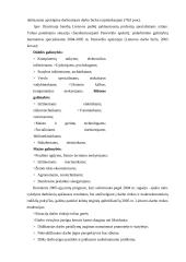 Organizacijų pozicija personalo atrankos procese 5 puslapis