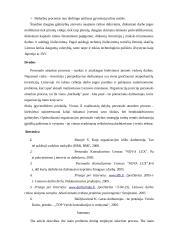 Organizacijų pozicija personalo atrankos procese 6 puslapis