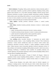 Žmogiškųjų išteklių atrankos sistemos Lietuvos kariuomenėje 2 puslapis